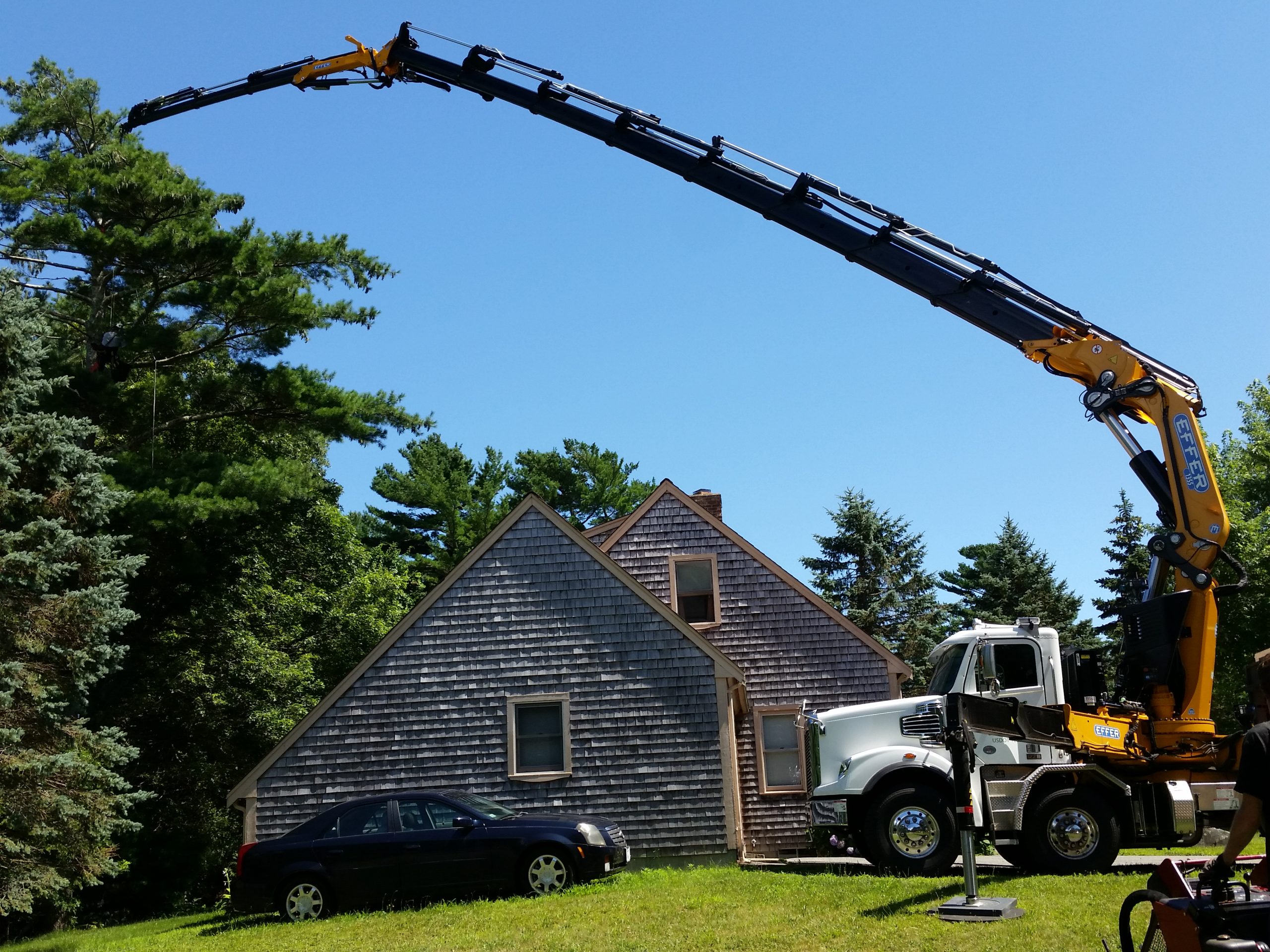 crane extending to tree