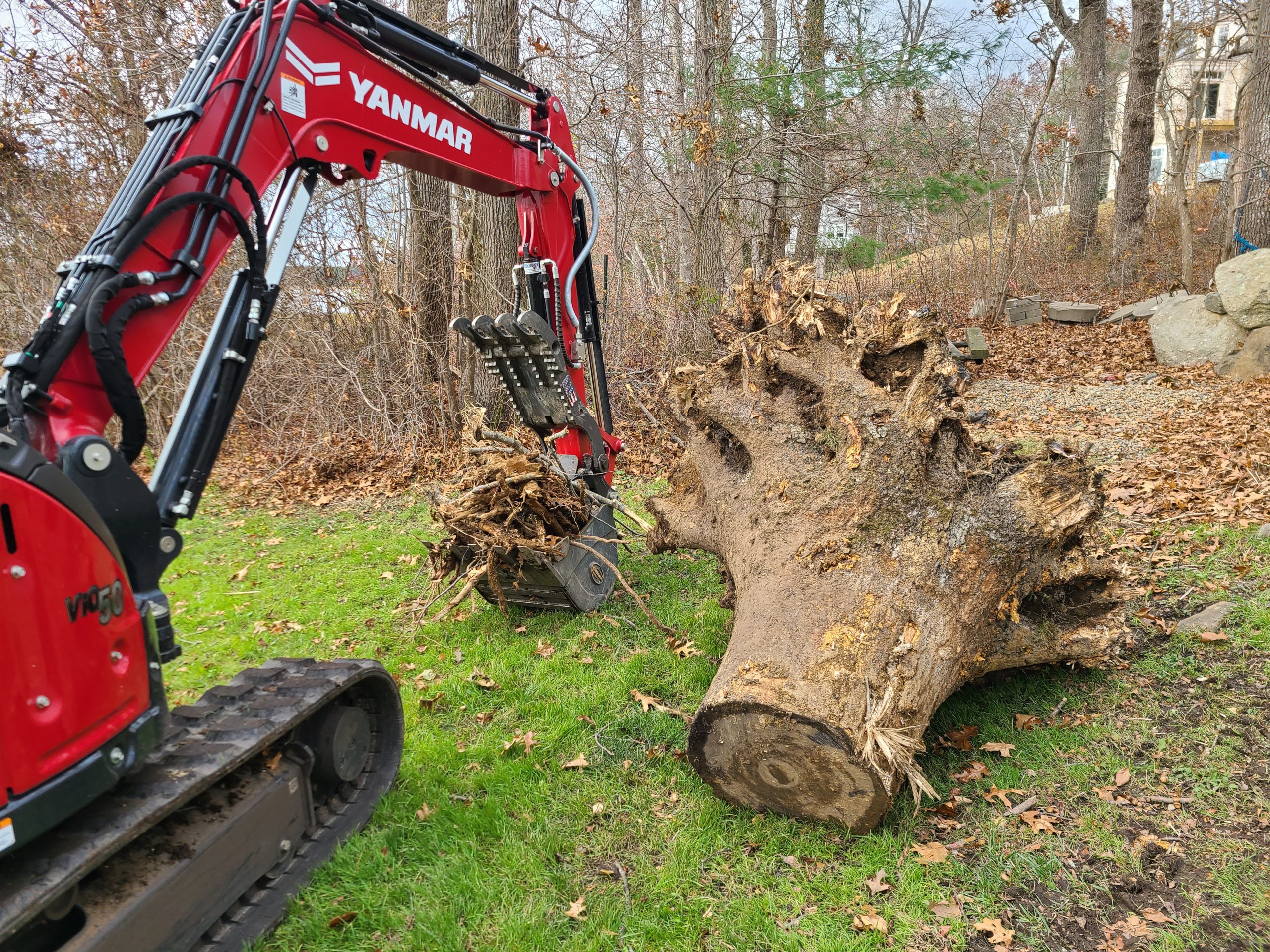 tractor and stump