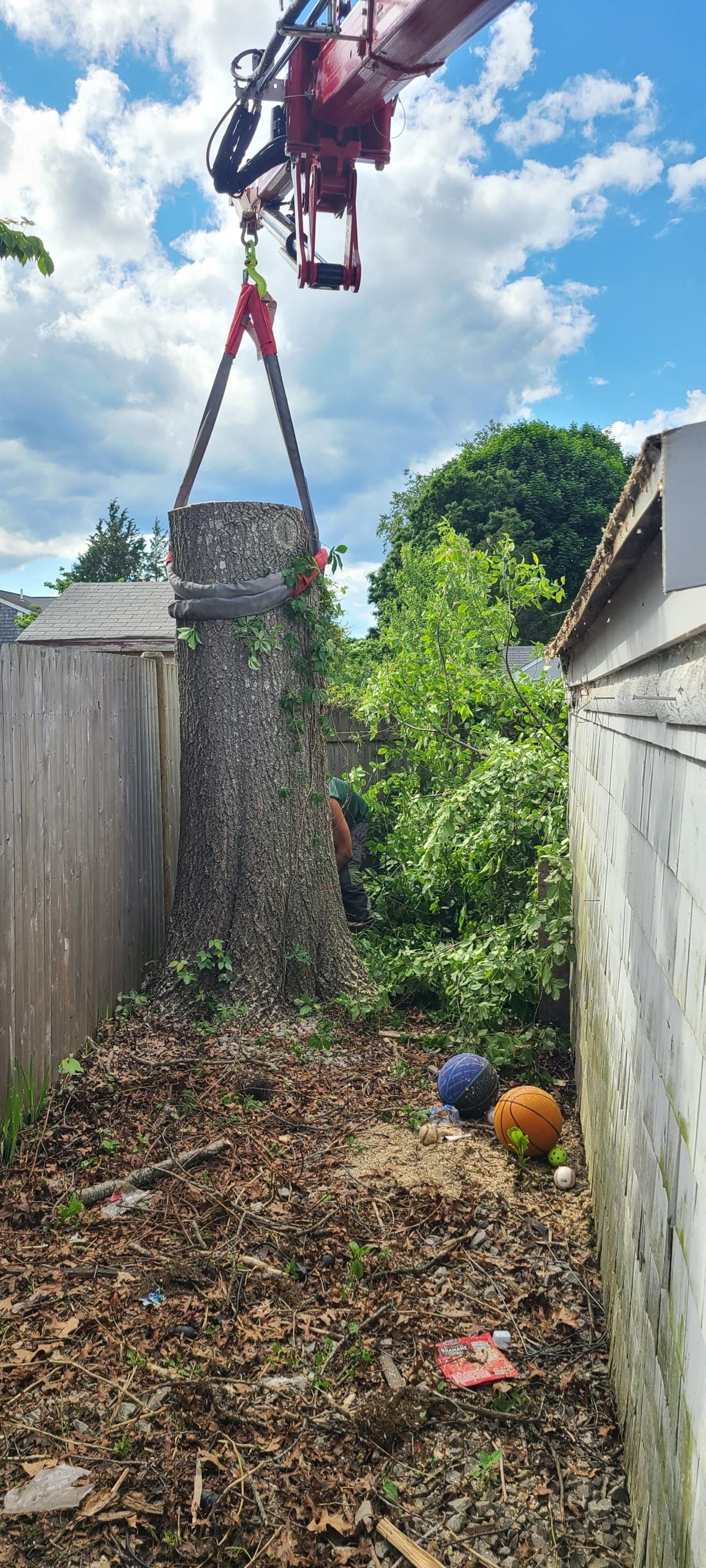 red crane lifting tree trunk