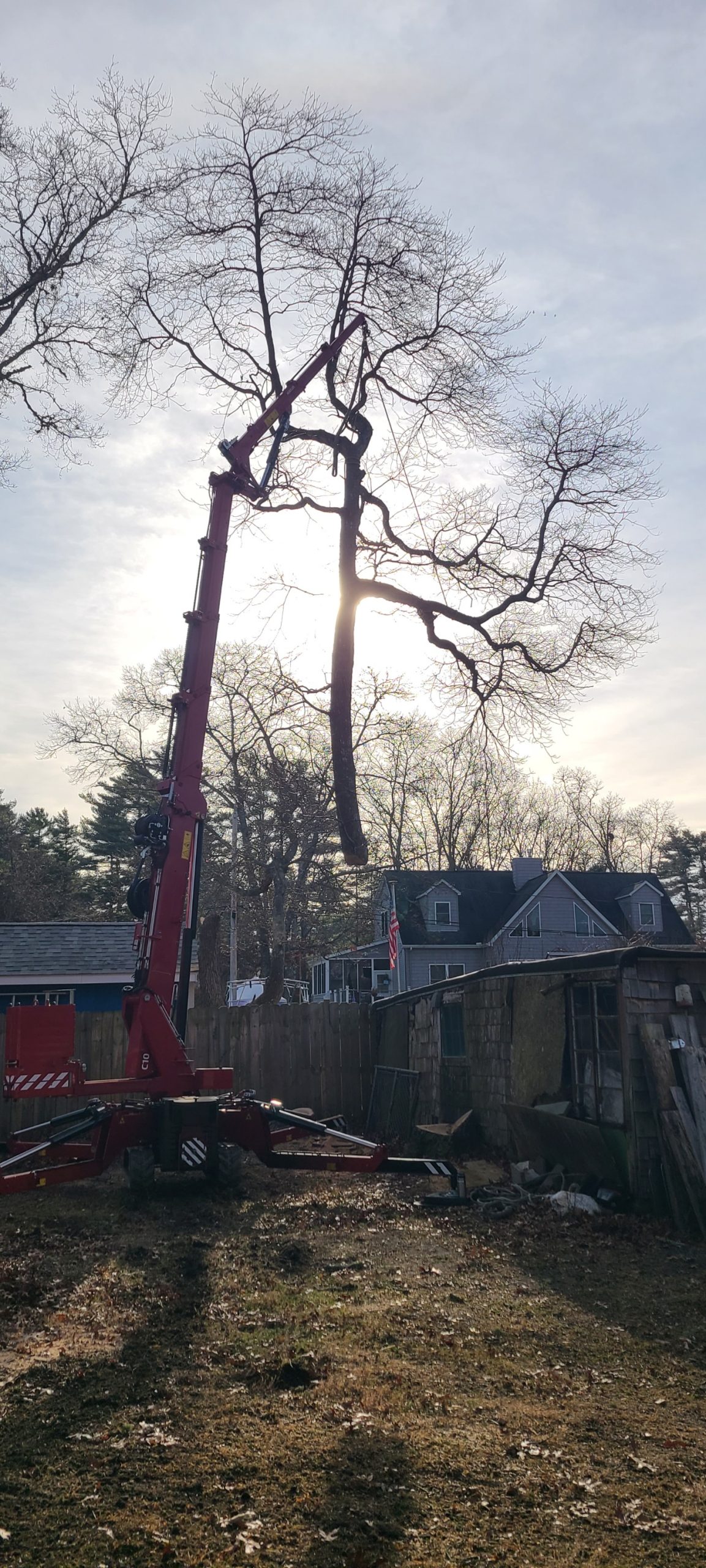 spider crane extended to trees