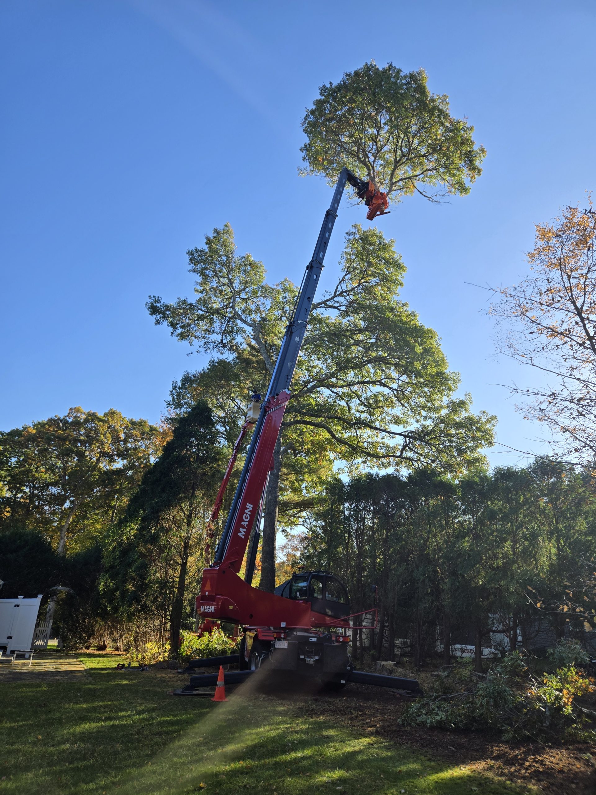 spider crane extended to trees